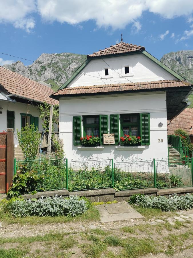 Hotel Kristaly Vendeghaz Rimetea Exteriér fotografie